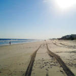 Beach showing car tire tracks
