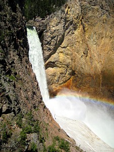 Lower falls YSNP