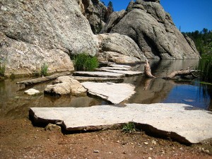 custer-state-park-2